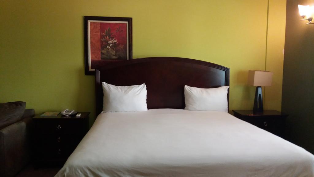 The Wexford Hotel Montego Bay Exteriör bild