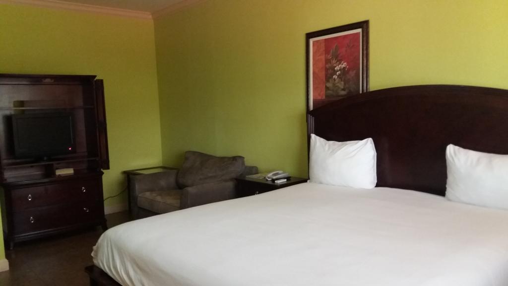 The Wexford Hotel Montego Bay Exteriör bild