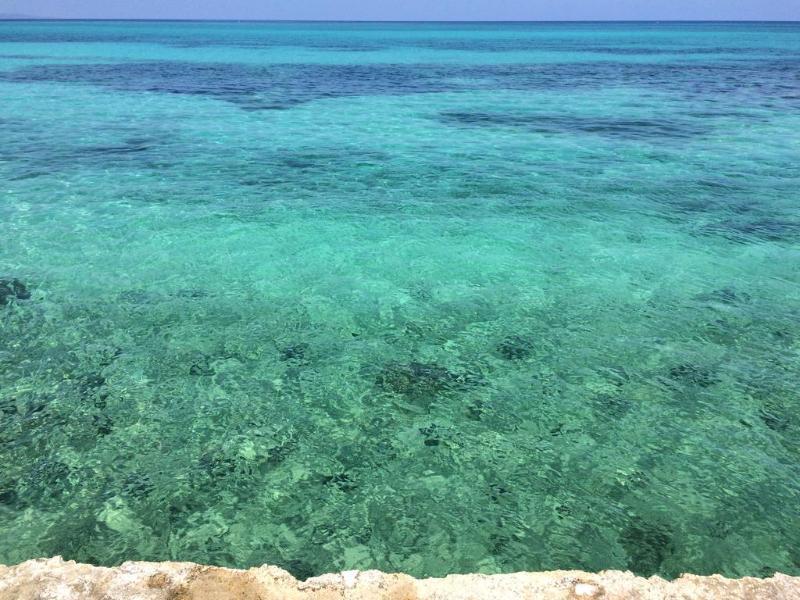 The Wexford Hotel Montego Bay Exteriör bild